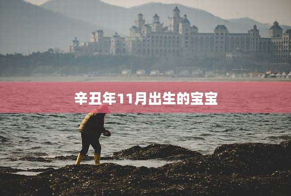 辛丑年11月出生的宝宝