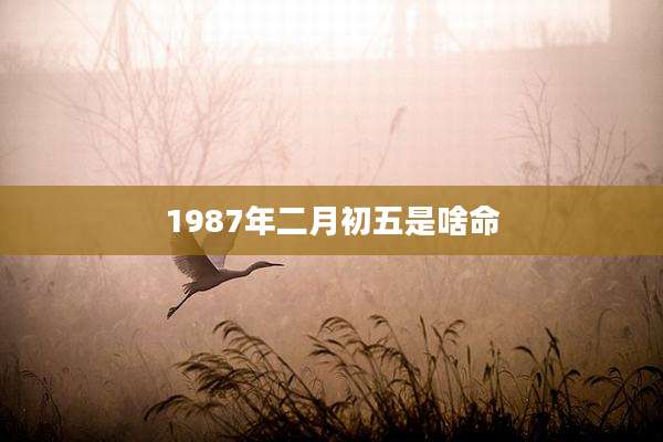 1987年二月初五是啥命