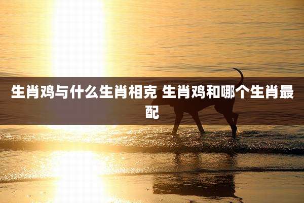 生肖鸡与什么生肖相克 生肖鸡和哪个生肖最配
