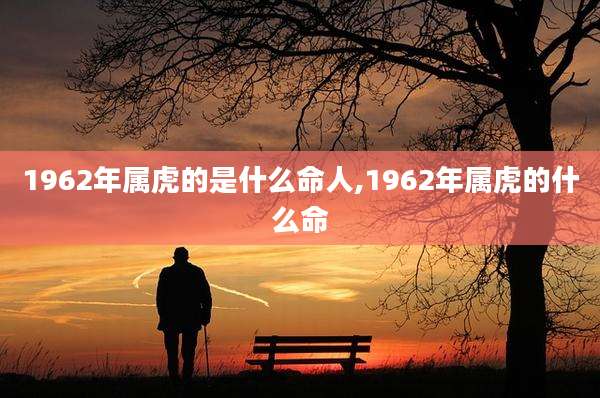 1962年属虎的是什么命人,1962年属虎的什么命