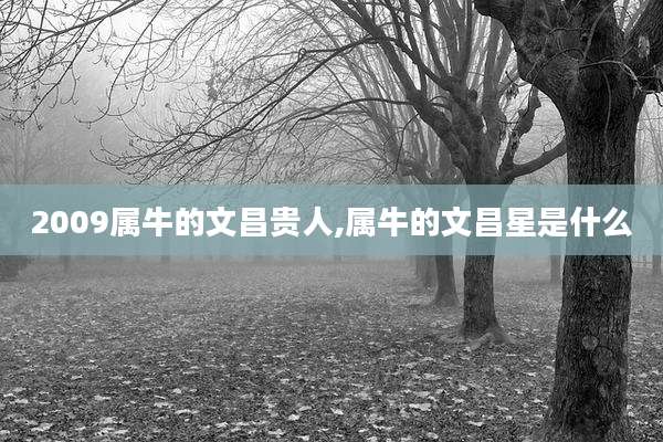 2009属牛的文昌贵人,属牛的文昌星是什么