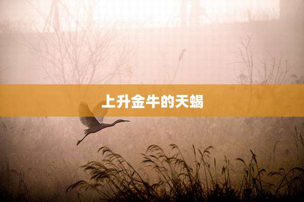 上升金牛的天蝎