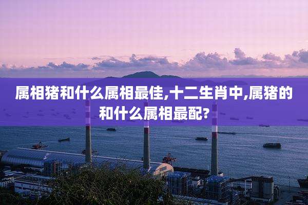 属相猪和什么属相最佳,十二生肖中,属猪的和什么属相最配?