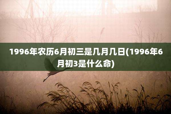 1996年农历6月初三是几月几日(1996年6月初3是什么命)