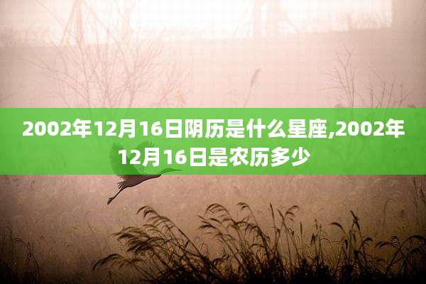 2002年12月16日阴历是什么星座,2002年12月16日是农历多少