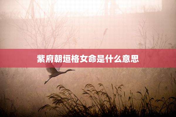 紫府朝垣格女命是什么意思