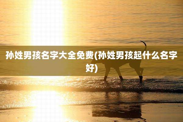 孙姓男孩名字大全免费(孙姓男孩起什么名字好)