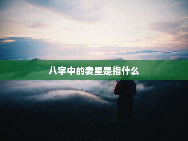 八字中的妻星是指什么