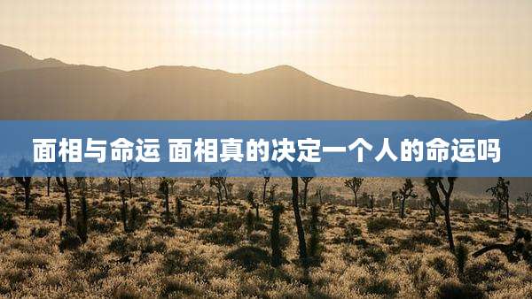 面相与命运 面相真的决定一个人的命运吗