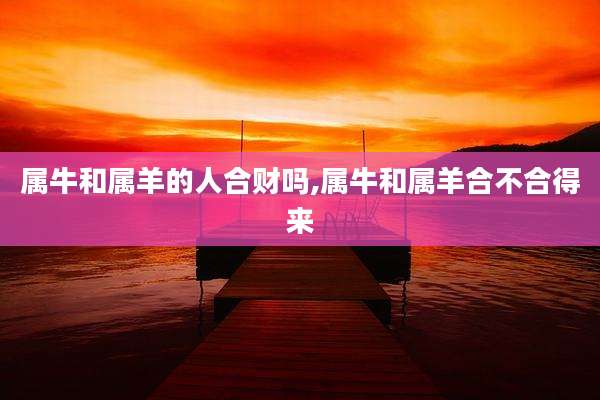 属牛和属羊的人合财吗,属牛和属羊合不合得来