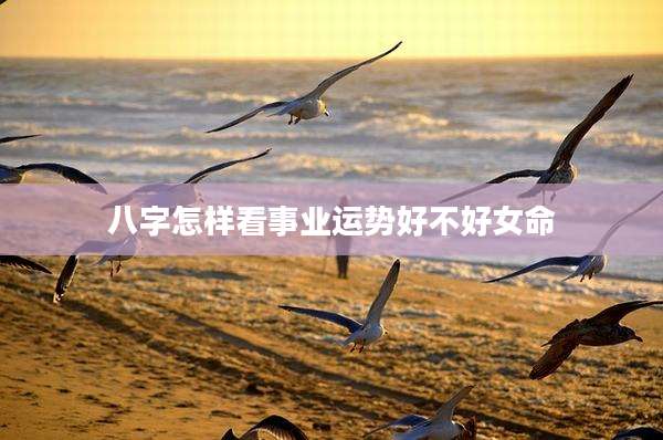 八字怎样看事业运势好不好女命