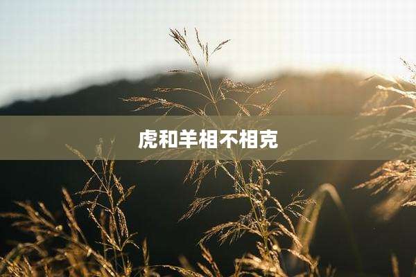 虎和羊相不相克