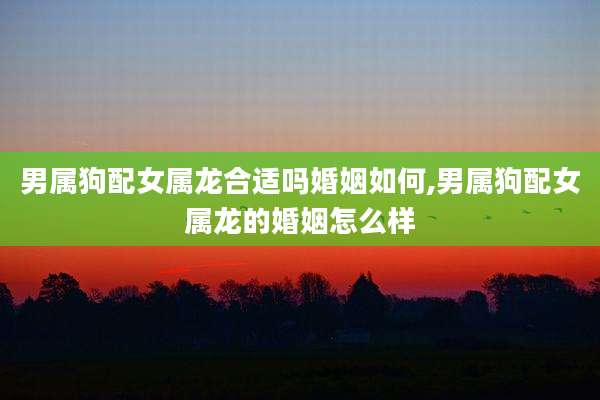 男属狗配女属龙合适吗婚姻如何,男属狗配女属龙的婚姻怎么样