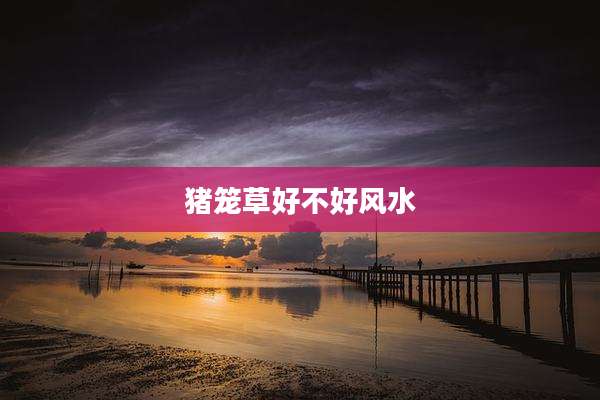 猪笼草好不好风水