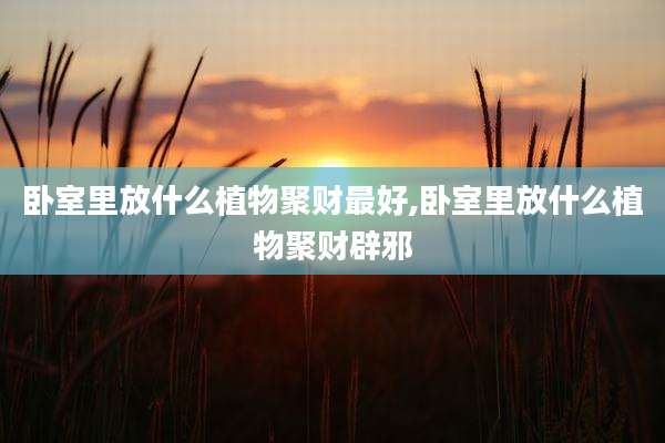 卧室里放什么植物聚财最好,卧室里放什么植物聚财辟邪