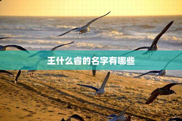 王什么睿的名字有哪些