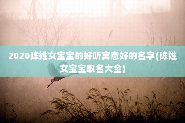 2020陈姓女宝宝的好听寓意好的名字(陈姓女宝宝取名大全)