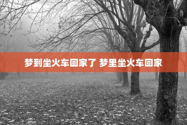 梦到坐火车回家了 梦里坐火车回家