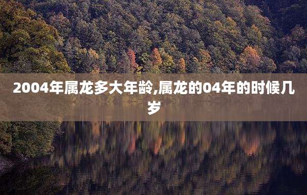 2004年属龙多大年龄,属龙的04年的时候几岁