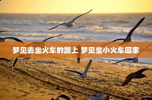 梦见去坐火车的路上 梦见坐小火车回家