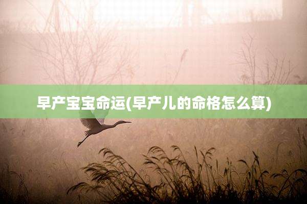早产宝宝命运(早产儿的命格怎么算)