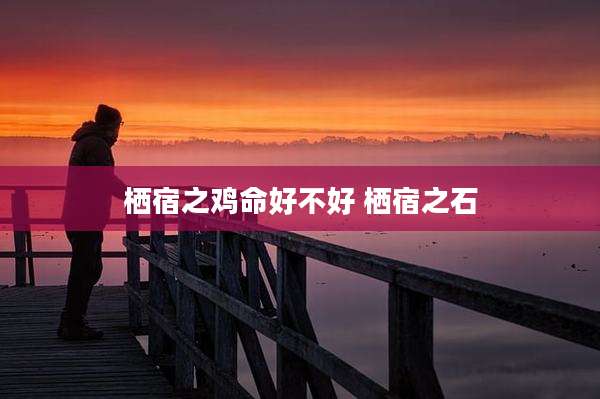栖宿之鸡命好不好 栖宿之石