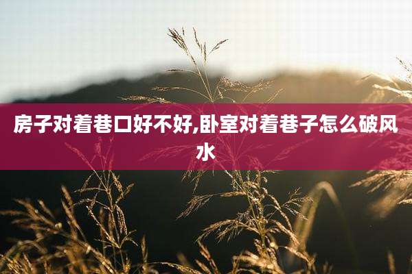 房子对着巷口好不好,卧室对着巷子怎么破风水