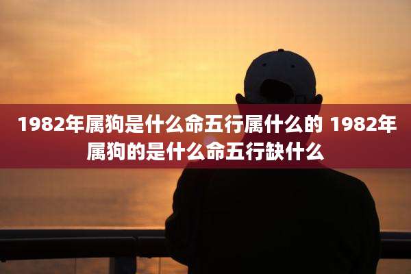 1982年属狗是什么命五行属什么的 1982年属狗的是什么命五行缺什么