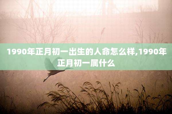 1990年正月初一出生的人命怎么样,1990年正月初一属什么