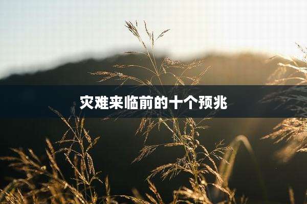 灾难来临前的十个预兆