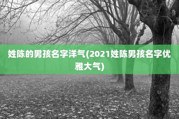 姓陈的男孩名字洋气(2021姓陈男孩名字优雅大气)