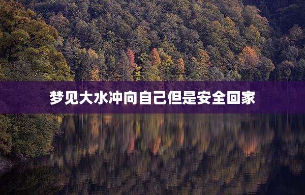 梦见大水冲向自己但是安全回家