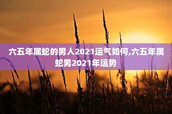 六五年属蛇的男人2021运气如何,六五年属蛇男2021年运势