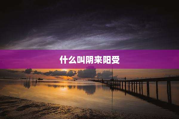 什么叫阴来阳受
