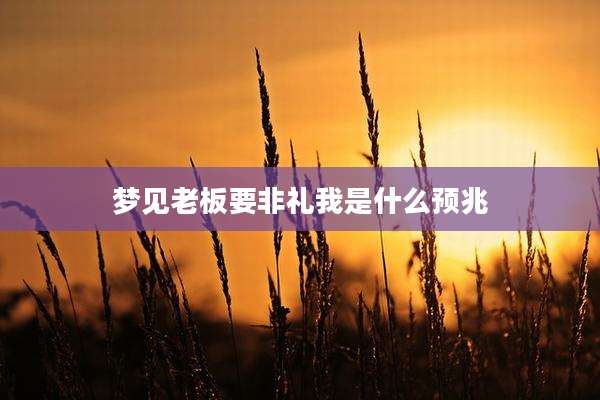梦见老板要非礼我是什么预兆