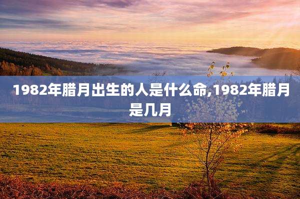 1982年腊月出生的人是什么命,1982年腊月是几月