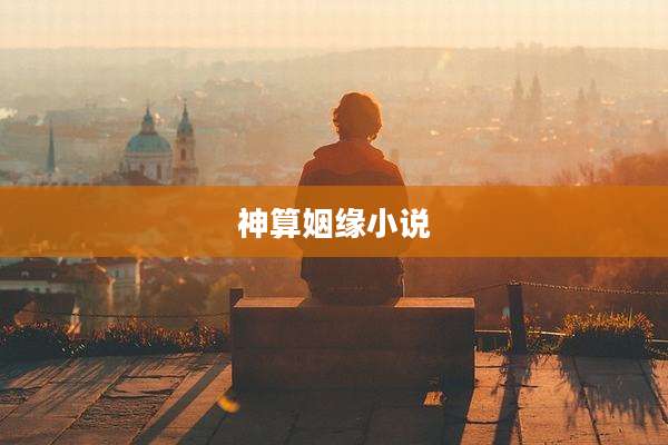 神算姻缘小说