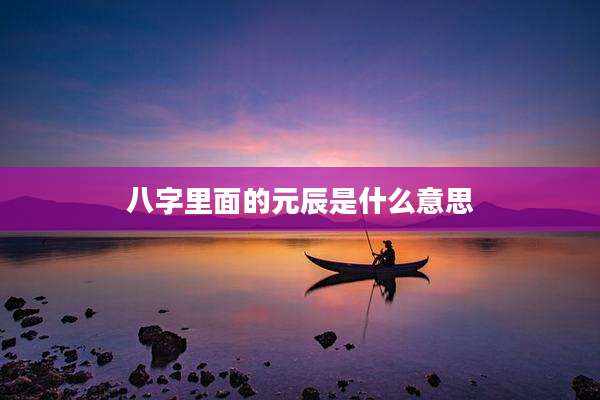 八字里面的元辰是什么意思