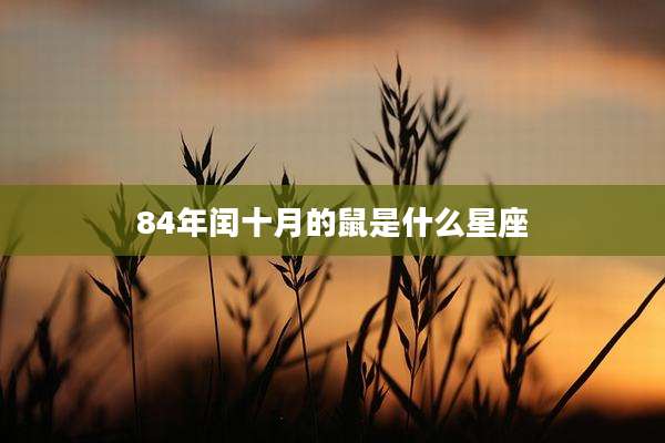 84年闰十月的鼠是什么星座