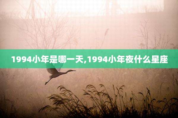 1994小年是哪一天,1994小年夜什么星座