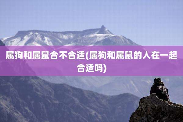 属狗和属鼠合不合适(属狗和属鼠的人在一起合适吗)
