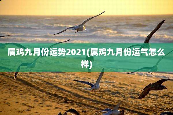 属鸡九月份运势2021(属鸡九月份运气怎么样)