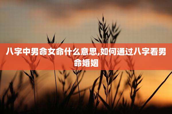 八字中男命女命什么意思,如何通过八字看男命婚姻