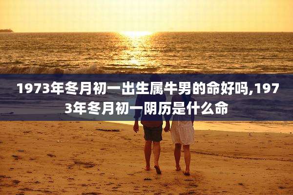 1973年冬月初一出生属牛男的命好吗,1973年冬月初一阴历是什么命