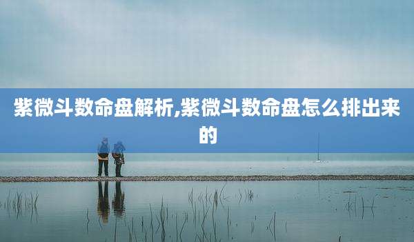 紫微斗数命盘解析,紫微斗数命盘怎么排出来的