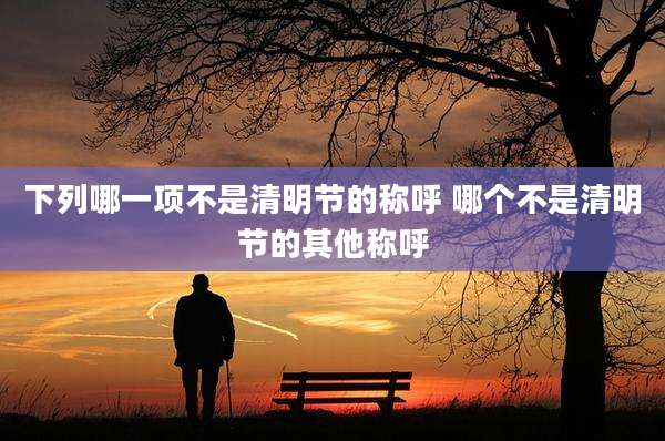 下列哪一项不是清明节的称呼 哪个不是清明节的其他称呼