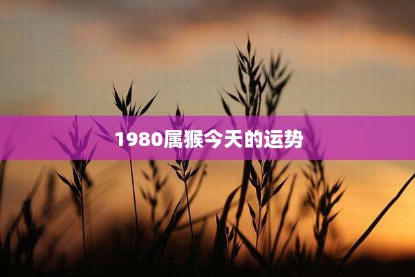 1980属猴今天的运势