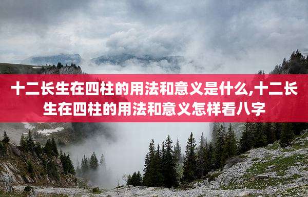 十二长生在四柱的用法和意义是什么,十二长生在四柱的用法和意义怎样看八字