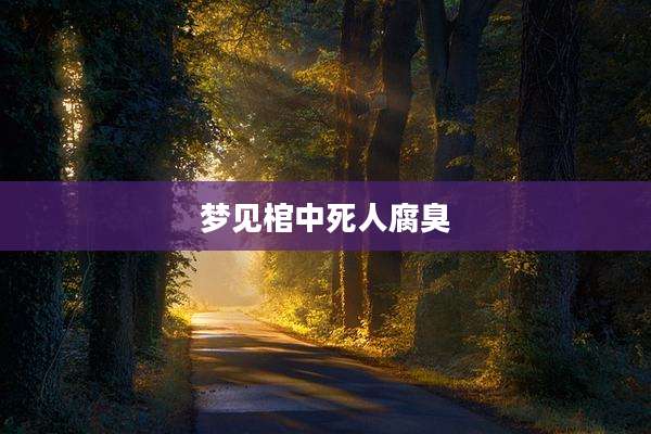 梦见棺中死人腐臭