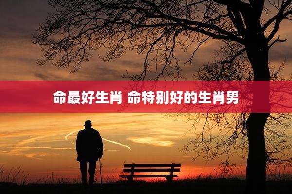 命最好生肖 命特别好的生肖男